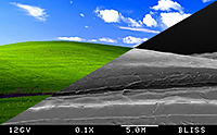 Landscape Photography with an Electron Microscope thumbnail